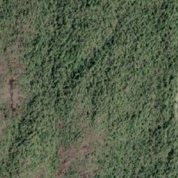 Satellite imagery of Reba Point, CA
