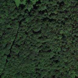 Satellite imagery of Dinmore Preceptory, GB