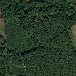 Satellite imagery of Jaszkowo - Pałac, PL