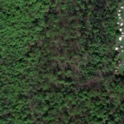 Satellite imagery of Finkenberg, DE
