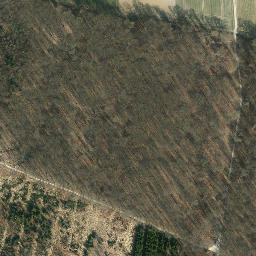 Satellite imagery of Heidelbeerenberg, DE