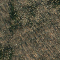 Satellite imagery of boundary_stone, DE