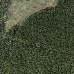 Satellite imagery of Hirschberg, DE