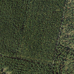 Satellite imagery of Hirschberg, DE