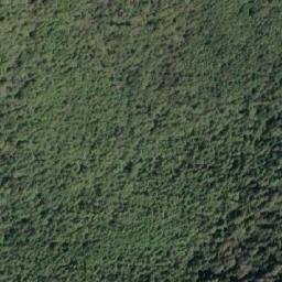 Satellite imagery of Mount D'Arcy, CA