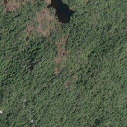 Satellite imagery of Mount D'Arcy, CA