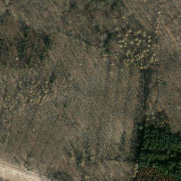 Satellite imagery of Heidelbeerenberg, DE