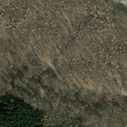 Satellite imagery of Heidelbeerenberg, DE