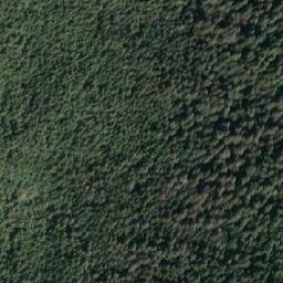 Satellite imagery of Mount D'Arcy, CA