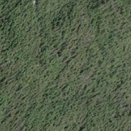 Satellite imagery of Mount D'Arcy, CA