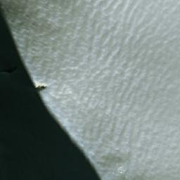 Satellite imagery of Omega Peak, CA