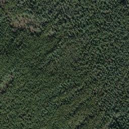 Satellite imagery of Sentinel Mountain, CA