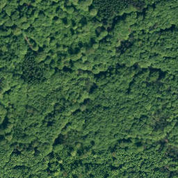 Satellite imagery of Franzosenkopf, DE