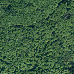Satellite imagery of Schweineberg, DE