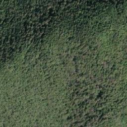 Satellite imagery of Mount D'Arcy, CA