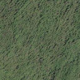 Satellite imagery of Mount D'Arcy, CA