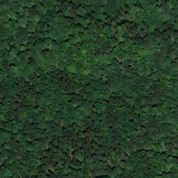 Satellite imagery of Hohewarte, DE
