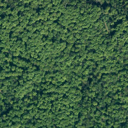 Satellite imagery of Schweineberg, DE
