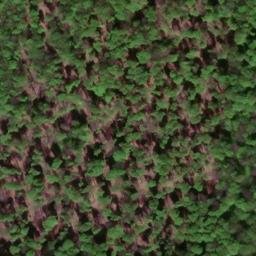 Satellite imagery of Knebelberg, DE
