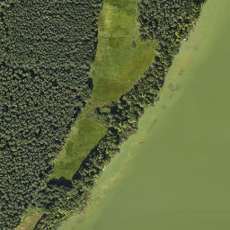 Satelita