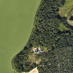 Satelita