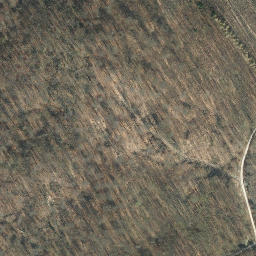 Satellite imagery of Lim, DE