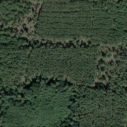 Satellite imagery of Wurzelberg, DE