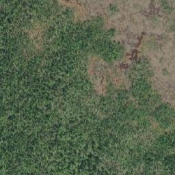 Satellite imagery of Napier Point, CA