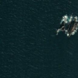 Satellite imagery of Edye Rocks, IE