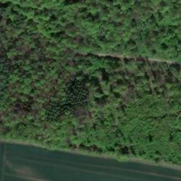 Satellite imagery of Knebelberg, DE
