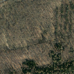 Satellite imagery of Großer Steinberg, DE