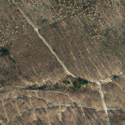 Satellite imagery of Steinberg, DE