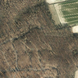 Satellite imagery of Steinberg, DE