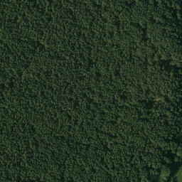 Satellite imagery of Wieża, PL