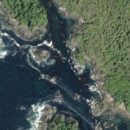 Satellite imagery of Fingal Point, CA