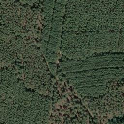 Satellite imagery of Wurzelberg, DE