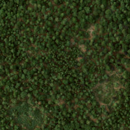 Satellite imagery of Jachthuis Sint-Hubertus, NL