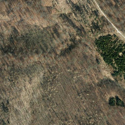 Satellite imagery of Großer Steinberg, DE