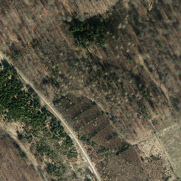 Satellite imagery of Thieberg, DE