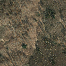 Satellite imagery of Hohe Warte, DE