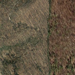 Satellite imagery of Brunstedter Berg, DE