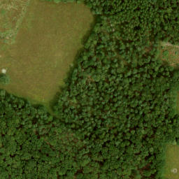 Satellite imagery of Kasteel Deelerwoud, NL