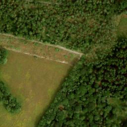 Satellite imagery of Kasteel Deelerwoud, NL