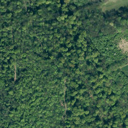 Satellite imagery of Morgenstern, DE