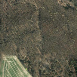 Satellite imagery of Ortsberg, DE