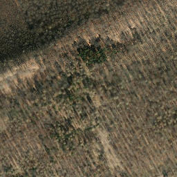 Satellite imagery of Hohe Warte, DE