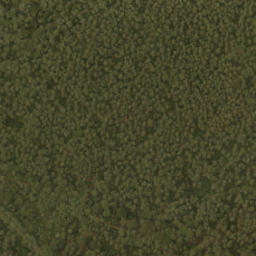 Satellite imagery of survey_point, NL
