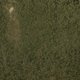 Satellite imagery of survey_point, NL
