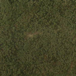 Satellite imagery of survey_point, NL