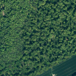 Satellite imagery of Morgenstern, DE
